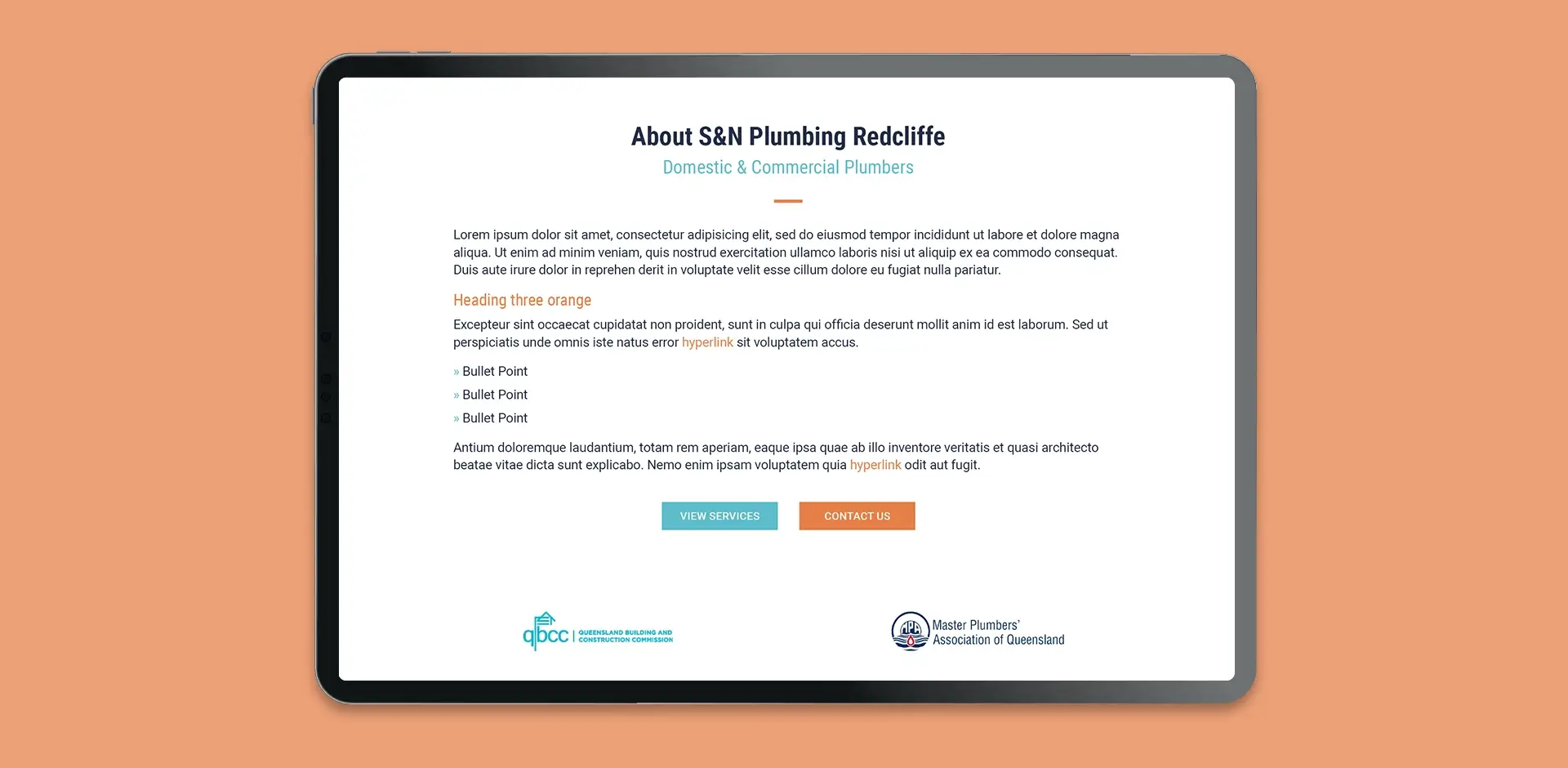 S&N Plumbing - Website